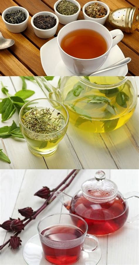 Conheça Tipos de Chás e seus Benefícios Tipos de chá Benefícios Chá