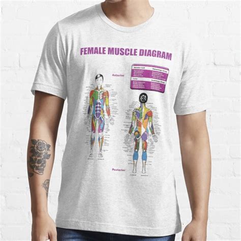 Female Muscle Diagram Anatomy Chart T Shirt For Sale By