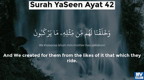 Surah Yaseen Ayat 40 3640 Quran With Tafsir My Islam