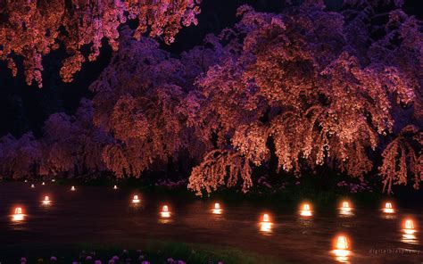 Cherry Blossom Flowers Pink Night Lights Cg Hd Wallpaper Nature And