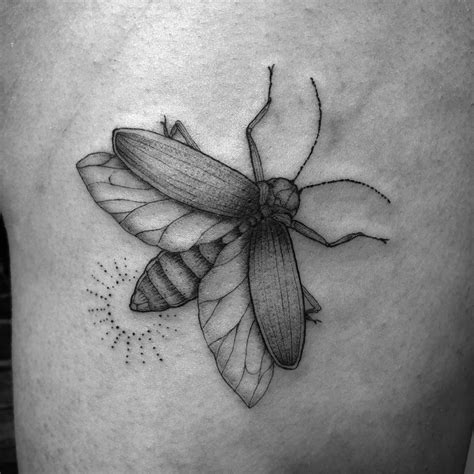 Pin By Maria Eugenia Baigorria On Tatuajes Firefly Tattoo Bug Tattoo
