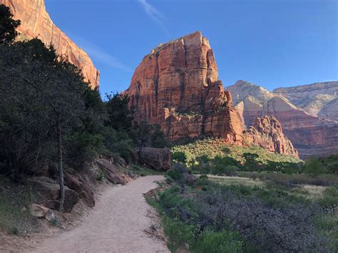 The Ultimate Guide to Hiking Angels Landing: Zion's Most Thrilling Hike ...