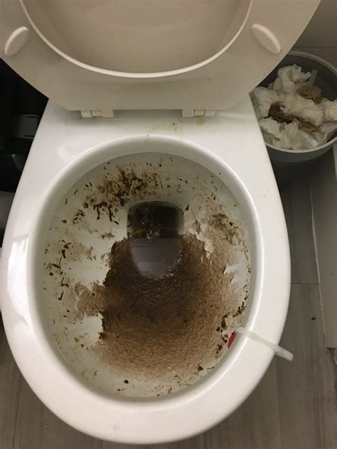 Repaired Clogged Toilet In San Diego Ca Asap Drain Guys And Plumbing