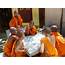 Buddhist Monastic Life And The Vinaya  1 – Toils Troubles In