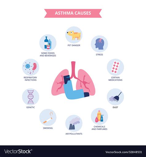 Infographics Bronchial Asthma Causes Flat Vector Image