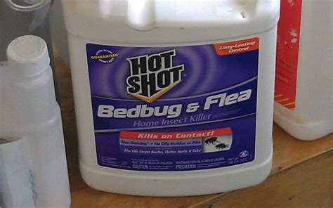 Hot Shot Bedbug And Flea Spray Review Dengarden