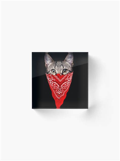 Gangster Cat Acrylic Block For Sale By Clingcling Redbubble