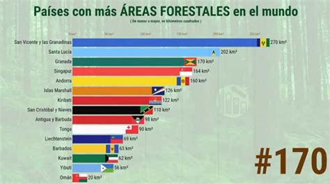 Países Con Mayores áreas Forestales Forestal Maderero