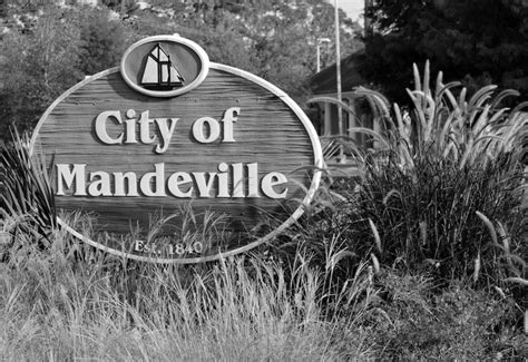 Mandeville La Mandeville Louisiana Cool Pictures