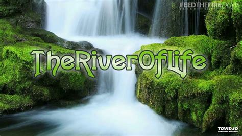 The River Of Life Lifes Lessons By David Sample Youtube