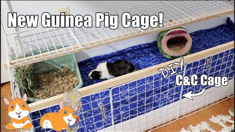 Homemade Diy Guinea Pig Cage Ideas To Build Your Own