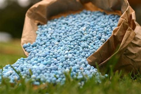 Starter fertilizer is high in phosphorus to reinforce the liquid fertilizers work fast, as the fertilizer is quickly absorbed into the roots of the turf. Does Lawn Fertilizer Go Bad? (4 Tips for Storing)
