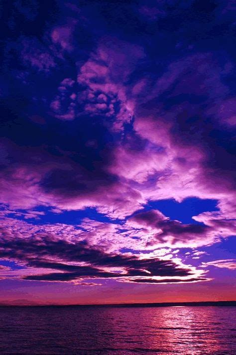 13 Purple Lavendar Heaven Ideas Purple Beautiful Nature All