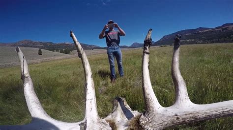 Yellowstone 2016 Youtube