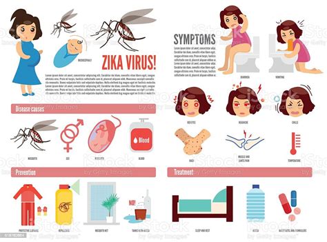 Zika Virus And Dengue Virus Infographic Stock Vector Art 518762664 Istock