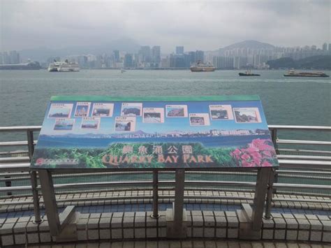 Quarry Bay Park Hong Kong 2021 All You Need To Know Before You Go