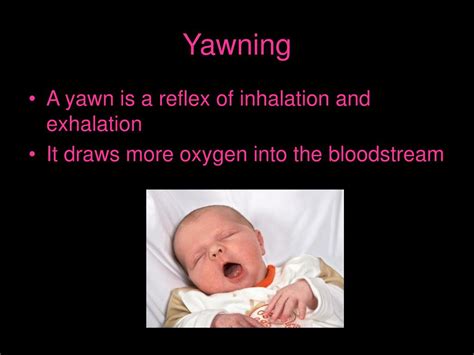 Ppt Yawning What Is It And Why Is It Contagious If It Is