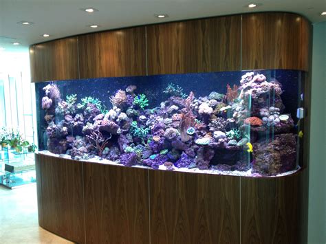 1200 Gallon Reef Aquarium Custom Front Panel Seavisions Of South Florida