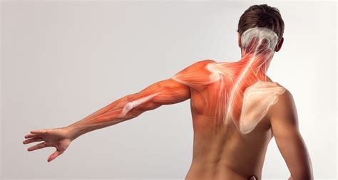 Shoulder Exercises To Improve Your Posture And Decrease Neck And