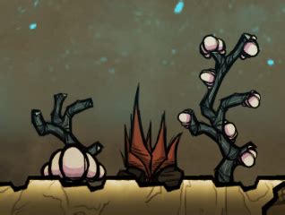 Mealwood - Oxygen Not Included Wiki