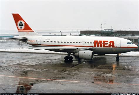 Airbus A310 203 Middle East Airlines Mea Aviation Photo 2760914