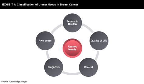 Unmet Needs In Breast Cancer Futurebridge