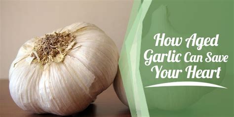 How Aged Garlic Can Save Your Heart Agedgarlic Heart Kyolic Garlic Press Honeydew Save