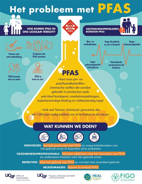 Health And Environment Alliance How Pfas Chemicals Affect Women