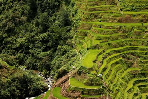 Download Eighth Wonder Of The World Banaue Rice Terraces Wallpaper