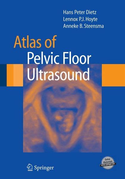 Ultrasound Imaging Of The Pelvic Floor Anneke Baukje Pdf Ultrasound