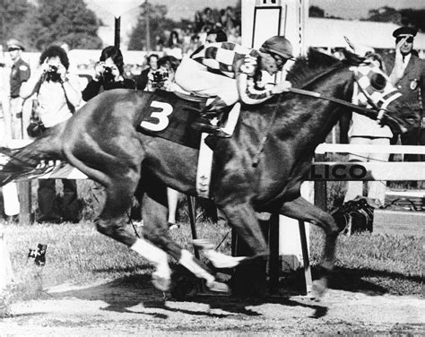 Secretariat Awarded Preakness Record 39 Years Later The New York Times