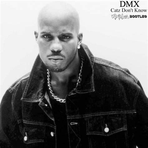 Stream Dmx Catz Dont Know Wxyz Remix By Dj Wxyz Listen Online