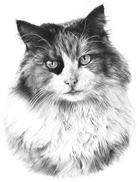 Pencil Drawing Methods Photo Realistic Pencil Drawing