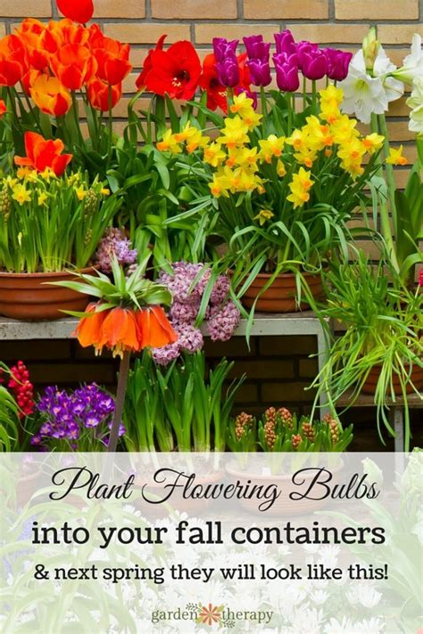 Preparing Fall Bulb Planters For Spring
