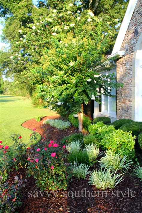 Hurry Grab The Camera Southern Landscaping Front Yard Landscaping