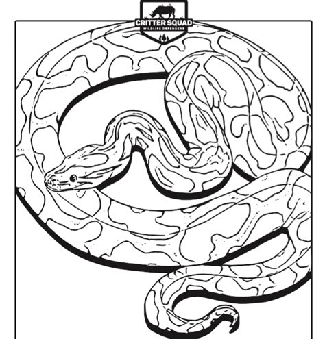 Python Coloring Pages Coloring Pages World