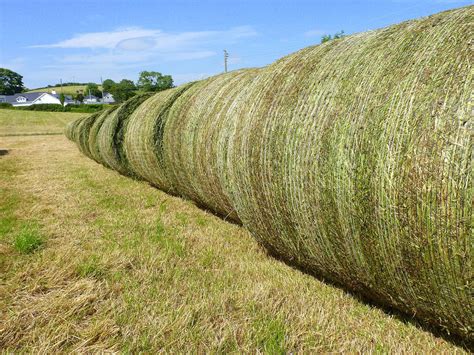Birding For Pleasure Wrapping Silage Bales