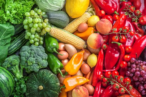 Nome Do Alimento Produzido Pelas Plantas
