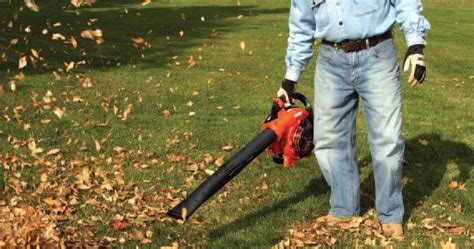 We did not find results for: How To Know Which Leaf Blower Is Right For You A-Line ...