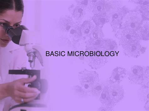 Ppt Basic Microbiology Powerpoint Presentation Id3384614
