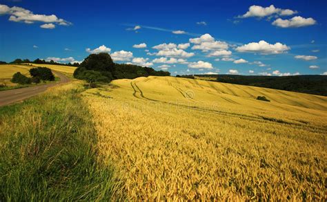 Polen informationsseiten des reiseveranstalters go east reisen. Sommerlandschaft In Landwirtschaftlichem Polen Stockfoto ...