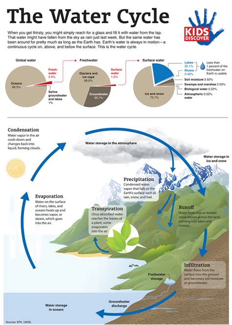 water conservation in infographics glade global learning and vrogue