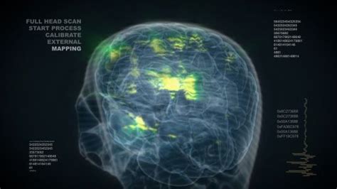 My Brilliant Brain Photos My Brilliant Brain National Geographic