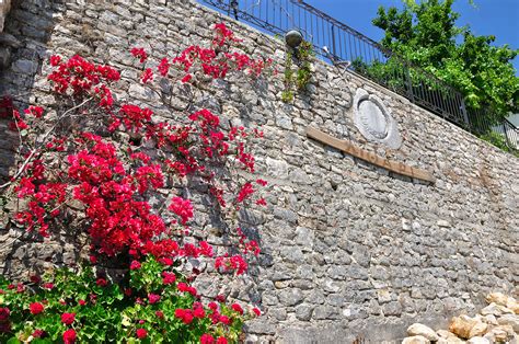 Select the rental time period procedure. Lythari Apartments ithaca Greece- Greek Island Villa for ...
