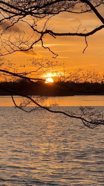 Osby natur fotos on Instagram God natt från min lilla paradisOsbysjön ikväll em