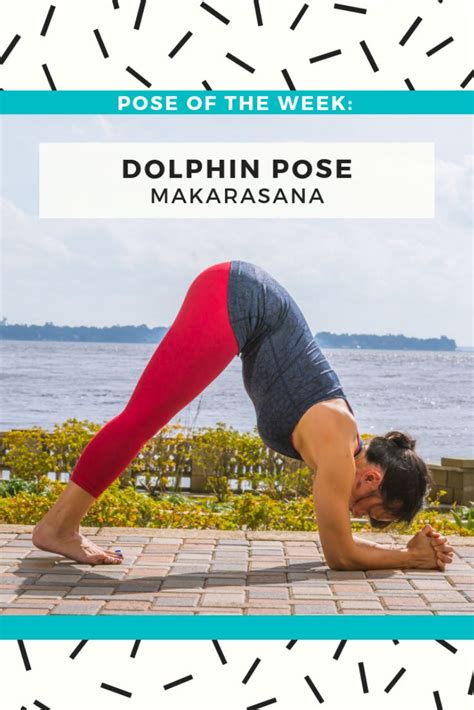 Dolphin Pose Makarasana Beyogi Dolphin Pose Yoga Anatomy Poses