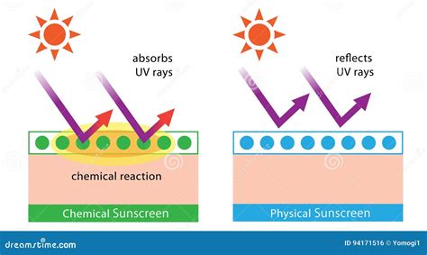 Diagram Of Chemical Sunscreen And Physical Sunscreen Stock Illustration