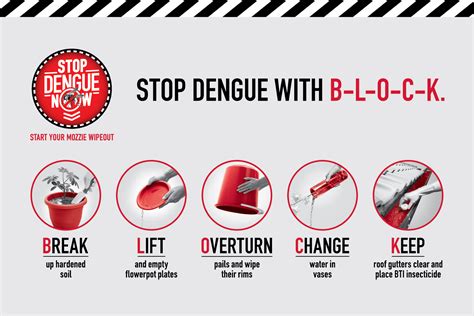 Dengue Fever Poster