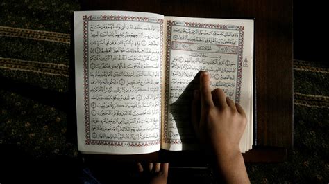 Koran Lesen Ist Nicht Gleich Verstehen Zeit Online