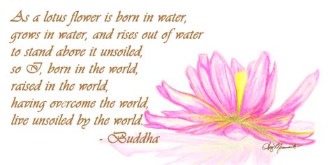 See more ideas about lotus flower quote, lotus flower, lotus. Lotus Quotes. QuotesGram